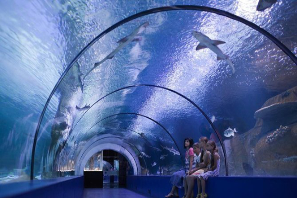 Antalya Aquarium Tour